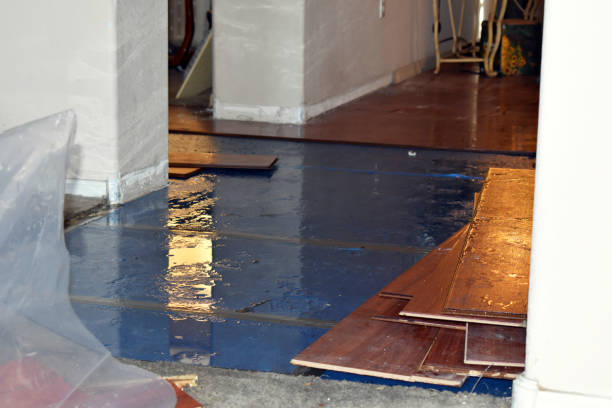 Professional Basement Flood Cleanup technician working in Plain City, OH